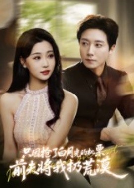 只因抢了白月光的机票，前夫将我扔荒漠